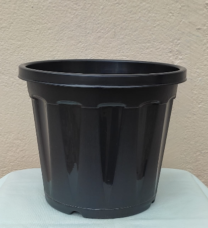 Black pot