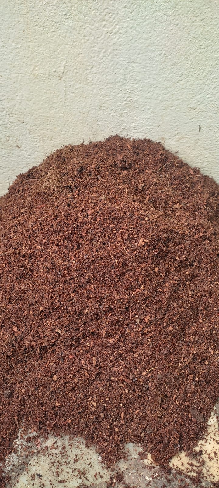 Cocopeat 1 kg